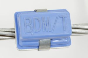 BDM/T