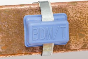 BDM/T