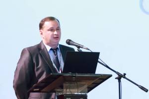 Ботов С.В., «DIMRUS», г. Пермь. Способы регистрации частичных разрядов в кабельных линиях, отстройка от помех. Программно–технические симуляторы дефектов в кабельных линиях.
